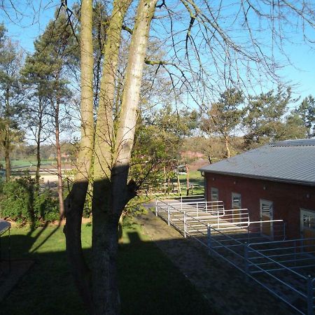 Ferienwohnung Friesenstall Heede Exterior foto